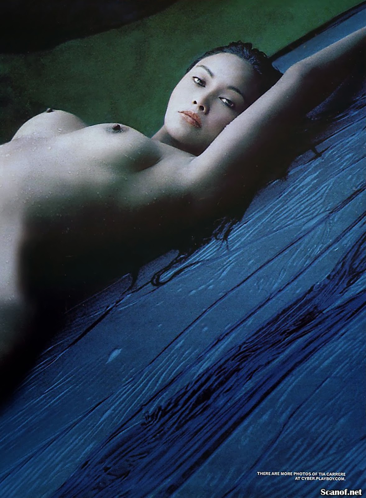 tia carrere in playboy young brooke shields in swimsuit